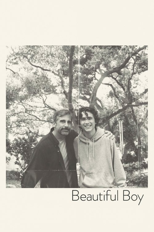 Beautiful Boy (2018) movie poster