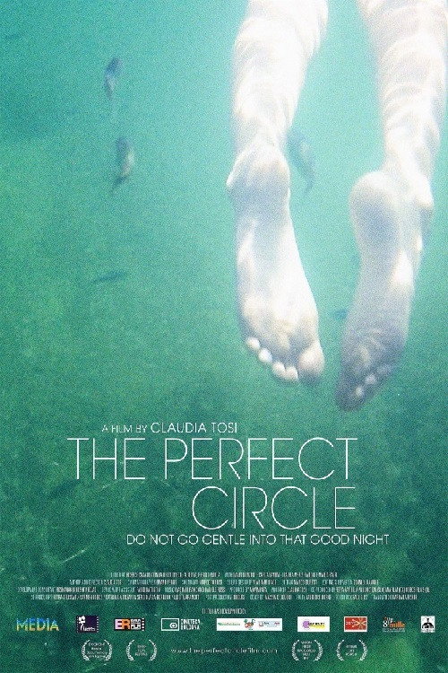 The Perfect Circle (2013) movie poster
