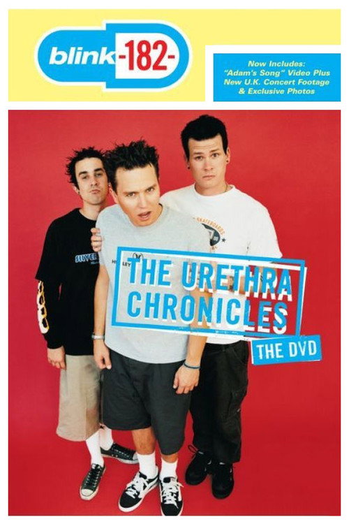 blink-182: The Urethra Chronicles (1999) movie poster