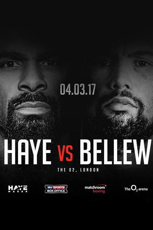 David Haye vs. Tony Bellew (2017) movie poster