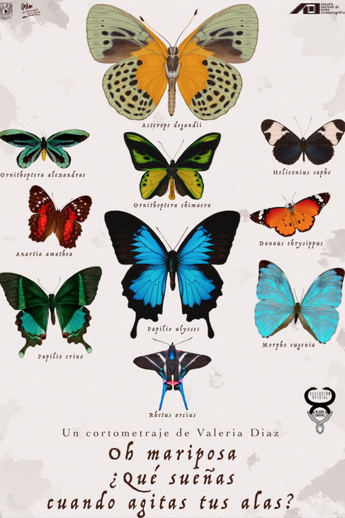 Oh Butterfly, What Do You Dream of When You Flap Your Wings? (2020) movie poster