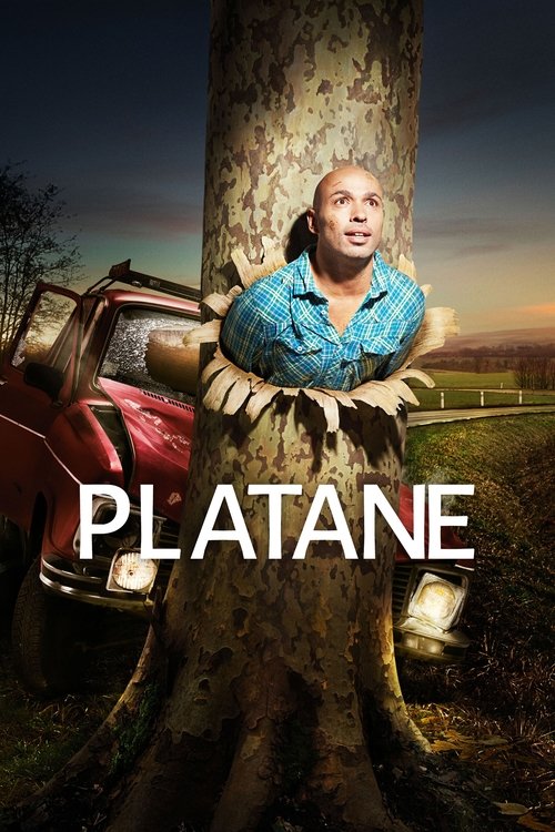 Platane (2011) TV show poster