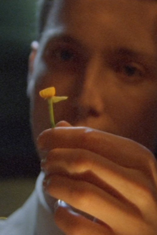 The Man Who Loved Flowers (2004) movie poster