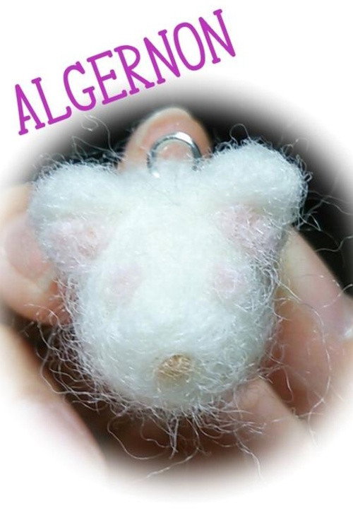 Flowers for Algernon (2015) TV show poster
