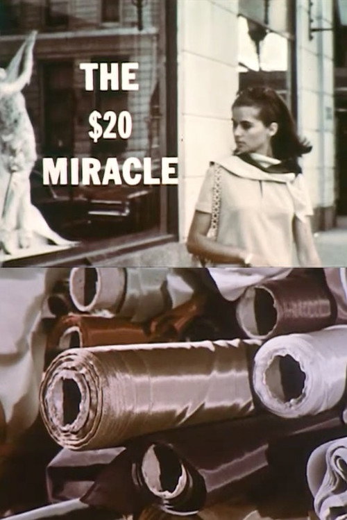 The Twenty Dollar Miracle (1967) movie poster