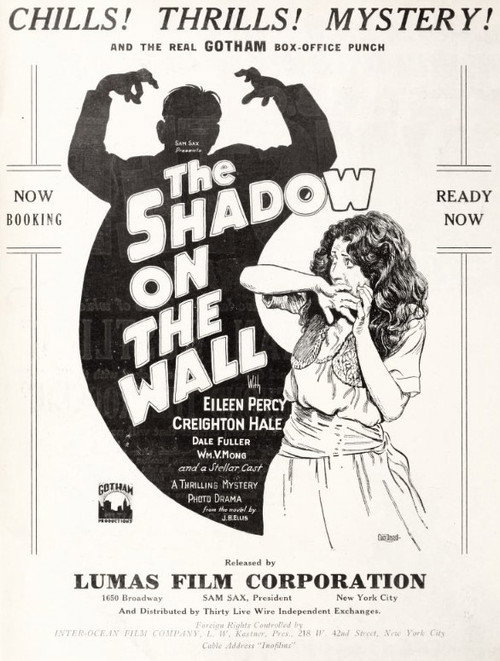 The Shadow on the Wall (1925) movie poster