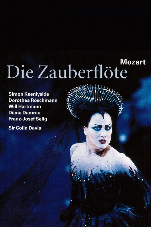 The Magic Flute (2003) movie poster