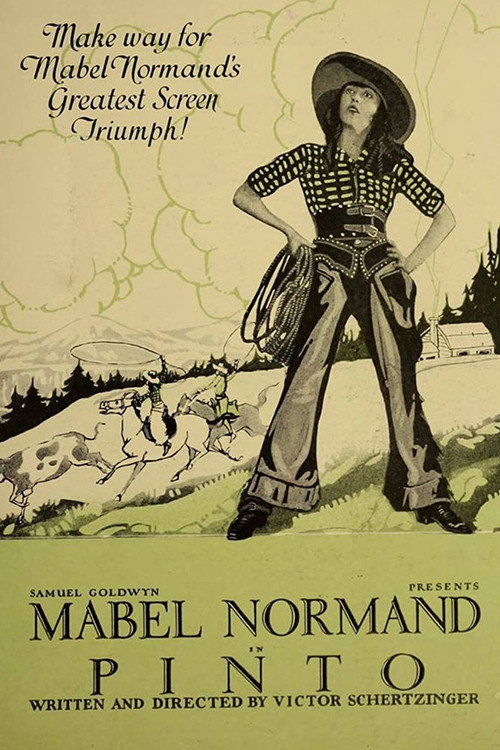 Pinto (1920) movie poster
