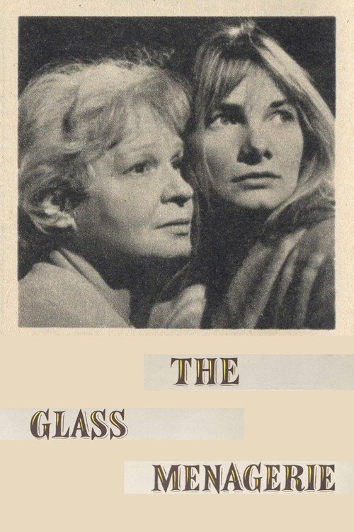 The Glass Menagerie (1966) movie poster