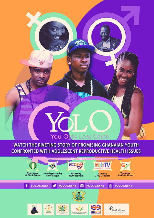 YOLO (2013) TV show poster