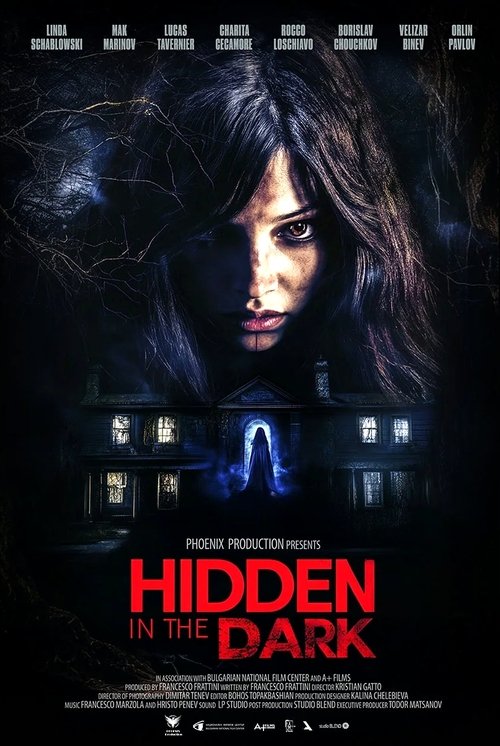 Hidden in the Dark (2025) movie poster