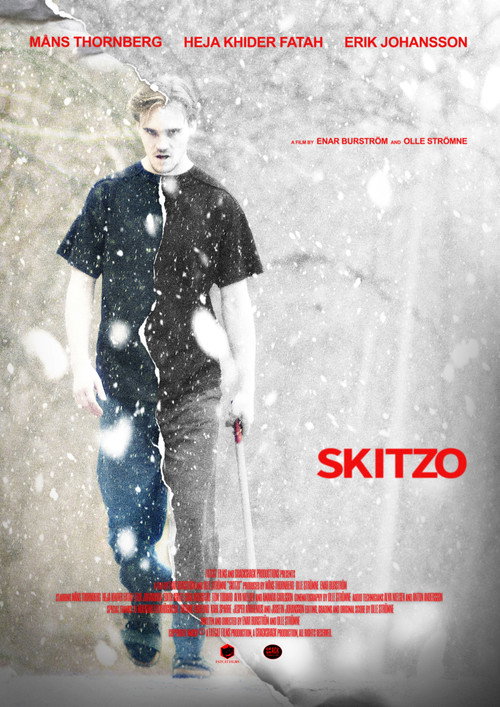 Skitzo movie poster