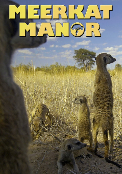 Meerkat Manor (2005) TV show poster