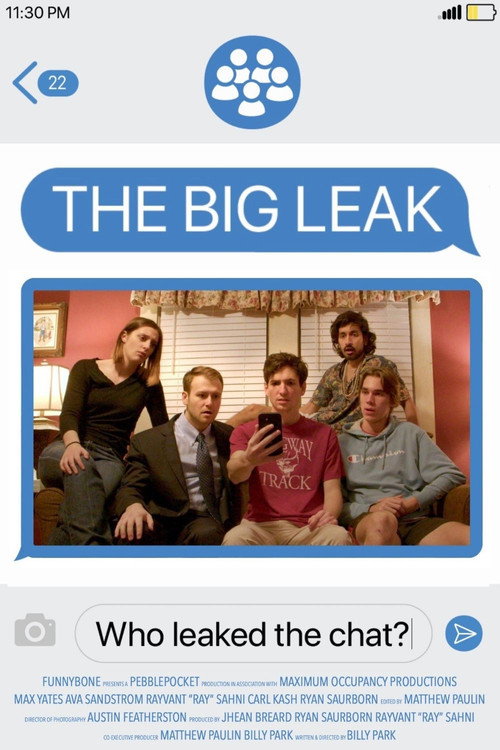 The Big Leak (2025) movie poster