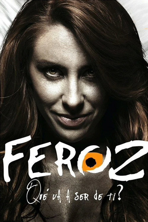 Feroz (2010) TV show poster