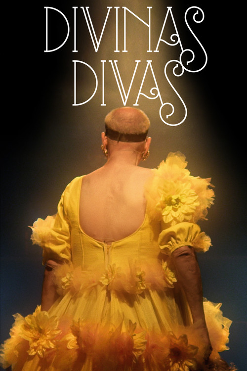 Divine Divas (2016) movie poster