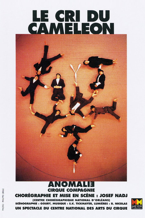 Le Cri du Caméléon (1997) movie poster