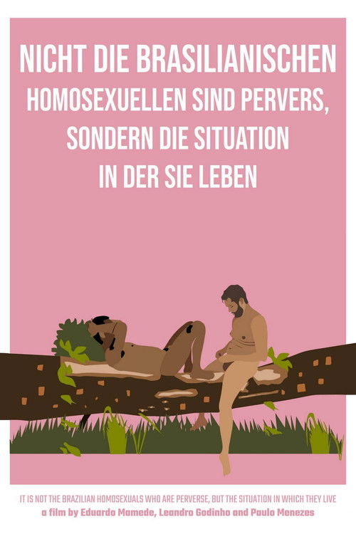 It Is Not the Brazilian Homosexuals Who Are Perverse, But the Situation in Which They Live (2021) movie poster
