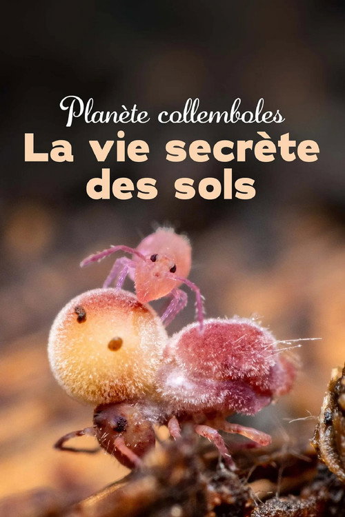 Springtails: The hidden soldiers of Earth (2024) movie poster