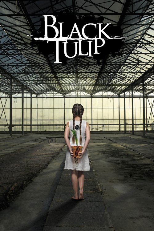 Black Tulip (2015) TV show poster