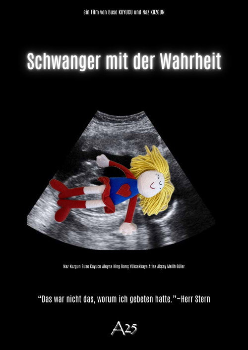 Pregnant with the Truth (2025) movie poster