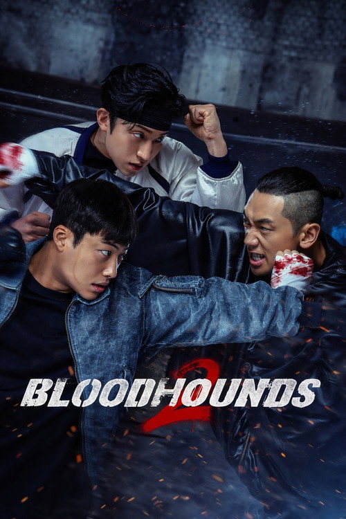 Bloodhounds (2023) TV show poster