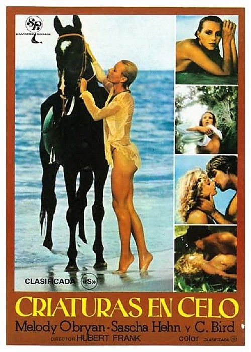 Melody in Love (1978) movie poster