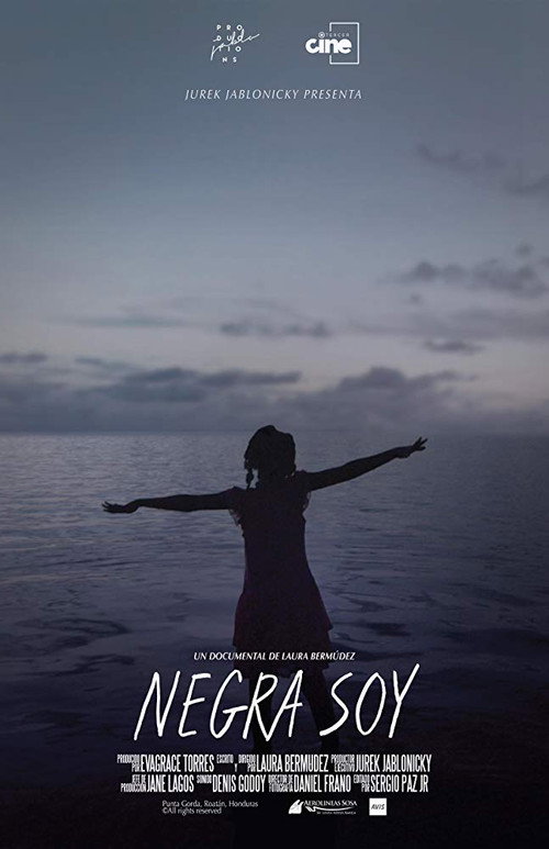 Black I Am (2020) movie poster