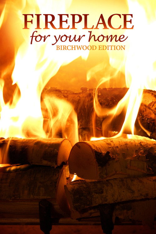 Fireplace for Your Home: Birchwood Edition (2015) movie poster
