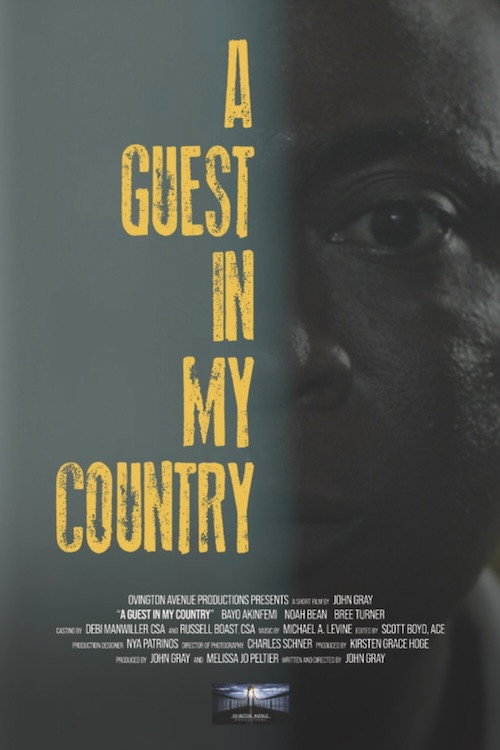 A Guest in My Country (2024) movie poster
