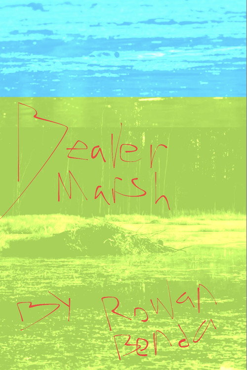 Beaver Marsh (2025) movie poster