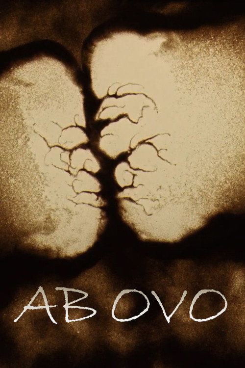 Ab ovo - Traces of Sand (1987) movie poster