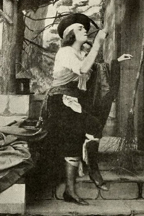 A Sister to Carmen (1913) movie poster