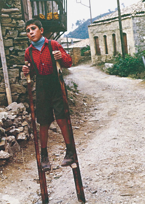 The Flea (1990) movie poster
