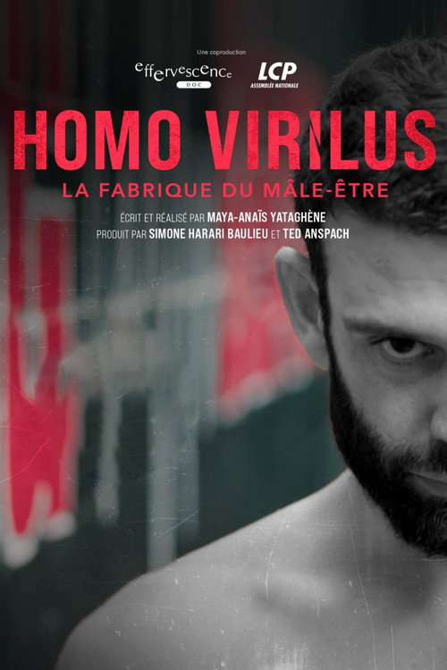 Homo virilus : la fabrique du mâle-être (2025) movie poster