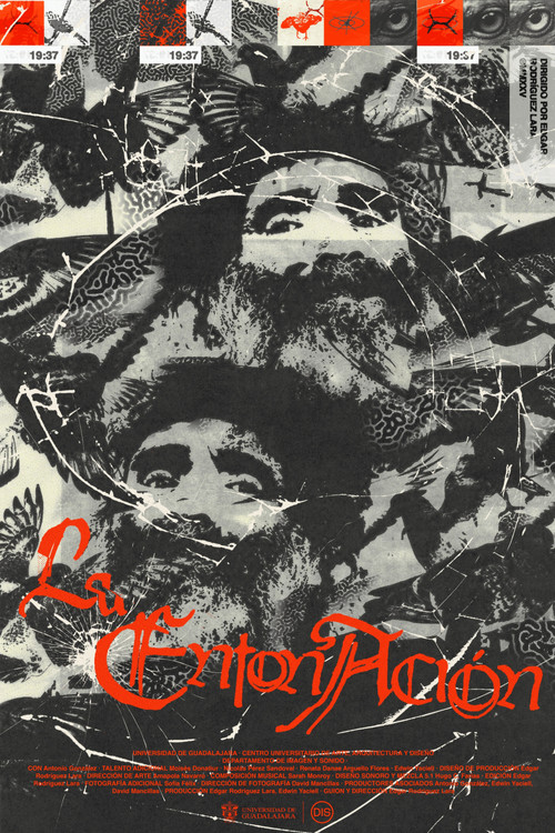 La Entonación movie poster