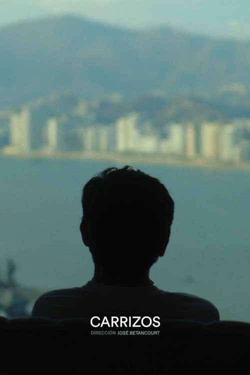 Carrizos (2025) movie poster