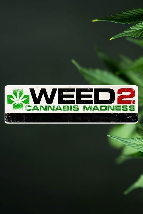 Weed 2: Cannabis Madness (2014) movie poster