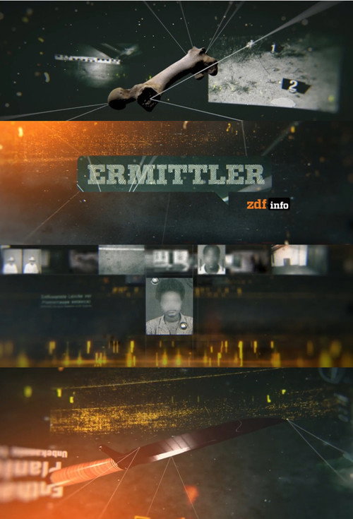Ermittler! (2018) TV show poster