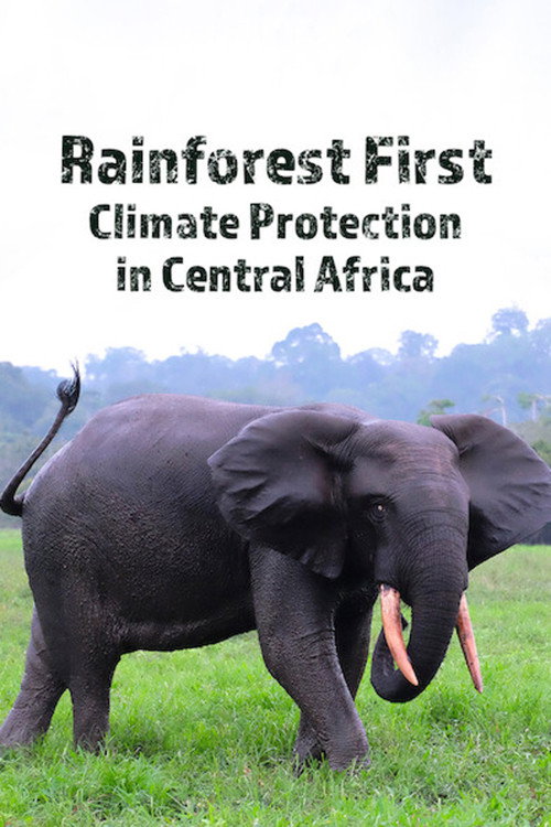 Rainforest First: Climate Protection in Central Africa (2022) movie poster