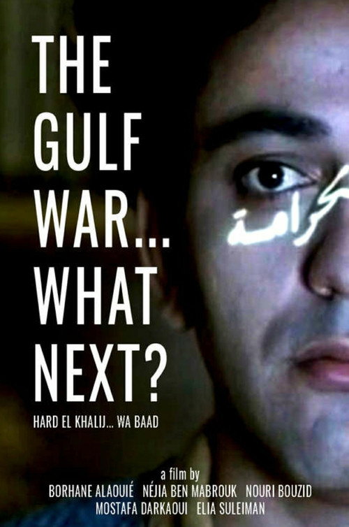 The Gulf War... What Next? (1993) movie poster