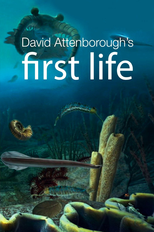 First Life (2010) TV show poster