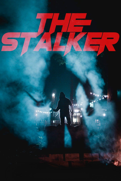 The Stalker (2020) movie poster
