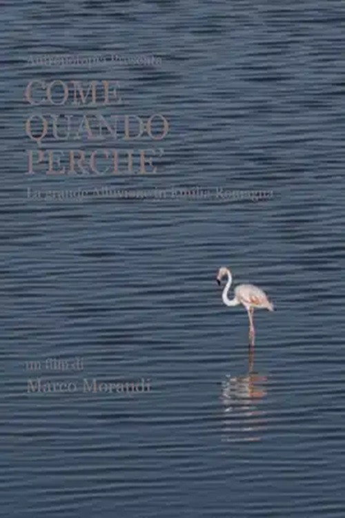 Come quando perché (2024) movie poster