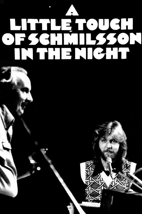 A Little Touch of Schmilsson in the Night (1973) movie poster