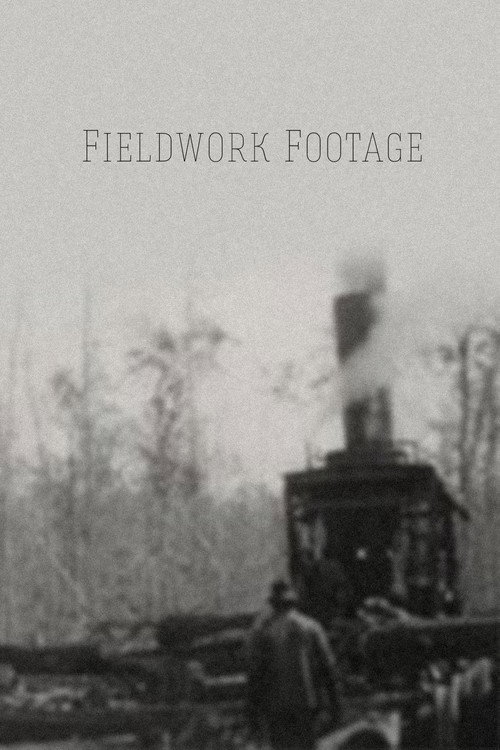 Fieldwork Footage (1928) movie poster
