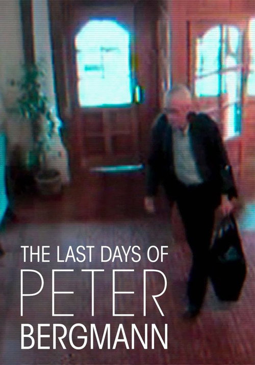 The Last Days of Peter Bergmann (2013) movie poster