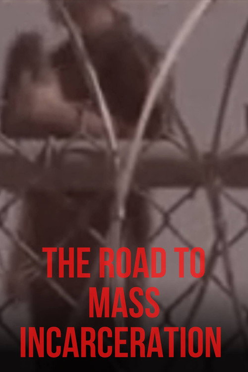 The Road to Mass Incarceration (2018) movie poster