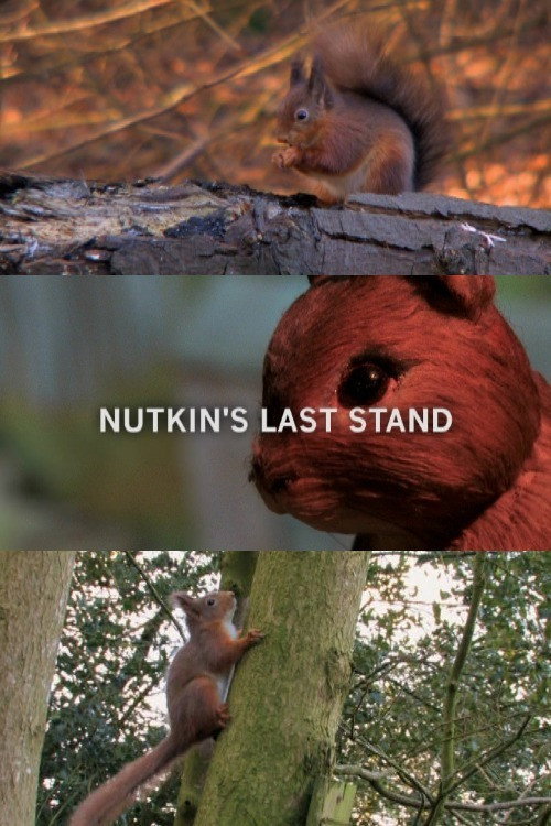 Nutkin's Last Stand (2009) movie poster