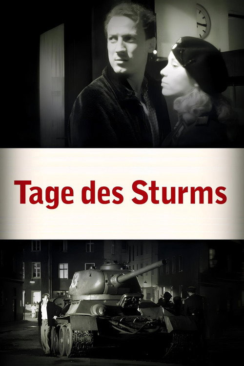 Tage des Sturms (2003) movie poster